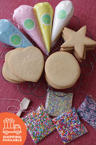 Cookie Decorating DIY Kit *SHIP*
