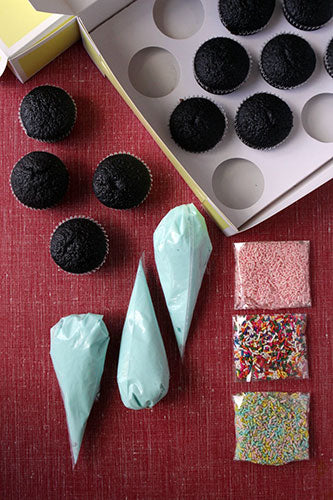 Cupcake Decorating DIY Kit