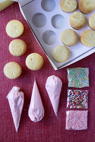 Cupcake Decorating DIY Kit